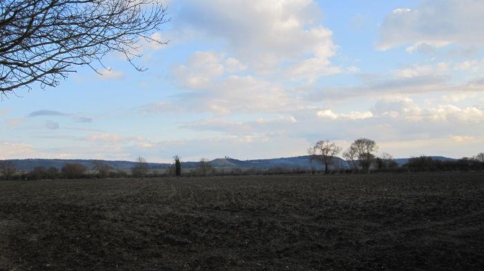 Marsh field toward The Chilterns